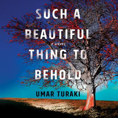 Such a Beautiful Thing to Behold by Umar Turaki audiobook