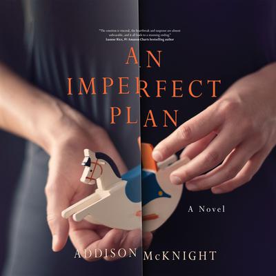An Imperfect Plan by Addison McKnight audiobook