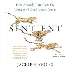 Sentient by Jackie Higgins audiobook