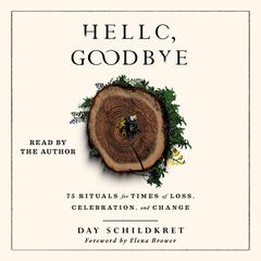 Hello, Goodbye by Day Schildkret audiobook