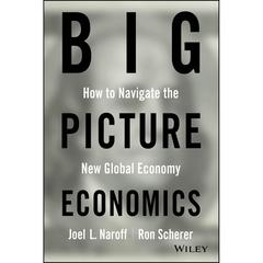 Big Picture Economics by Joel Naroff audiobook