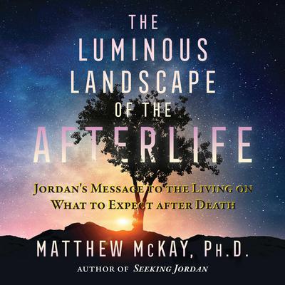 The Luminous Landscape of the Afterlife by Matthew McKay audiobook