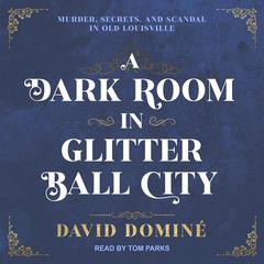 A Dark Room in Glitter Ball City by David Dominé audiobook