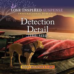 Detection Detail by Terri Reed audiobook