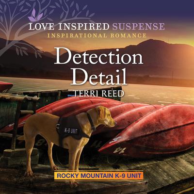 Detection Detail by Terri Reed audiobook