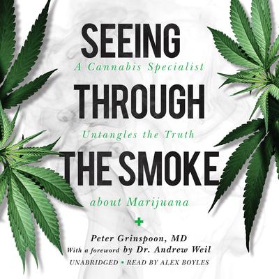 Seeing through the Smoke by Peter Grinspoon audiobook