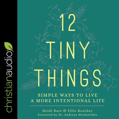 12 Tiny Things by Ellie Roscher audiobook