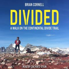 Divided by Brian Cornell audiobook