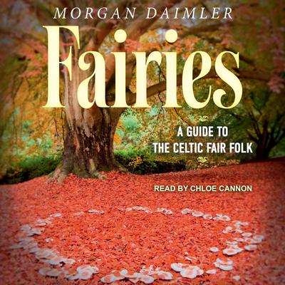 Fairies by Morgan Daimler audiobook