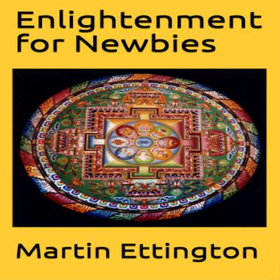 Enlightenment for Newbies by Martin K. Ettington audiobook