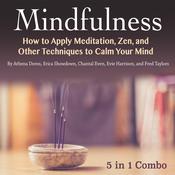 Mindfulness by  Evie Harrison audiobook