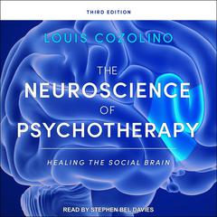 The Neuroscience of Psychotherapy by Louis Cozolino audiobook