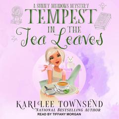 Tempest In The Tea Leaves by Kari Lee Townsend audiobook