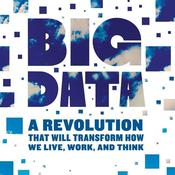 Big Data by  Viktor Mayer-Schönberger audiobook