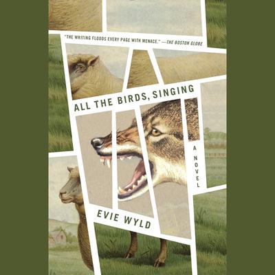 All the Birds, Singing by Evie Wyld audiobook