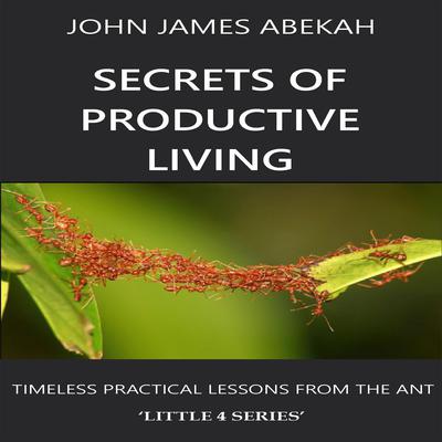 SECRETS OF PRODUCTIVE LIVING by JOHN JAMES ABEKAH audiobook