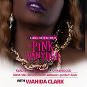 The Pink Panther Clique by  Wahida Clark audiobook