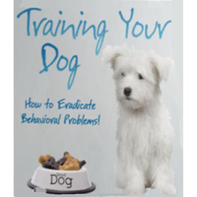 Training Your Dog - How to Eradicate Behavioral Problems! by Empowered Living audiobook