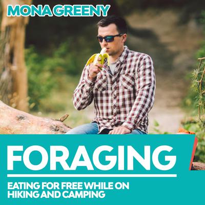 Foraging by Mona Greeny audiobook