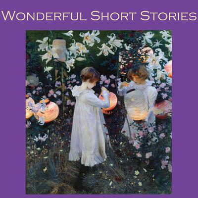 Wonderful Short Stories by various authors audiobook