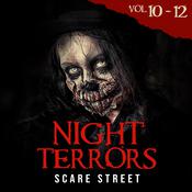 Night Terrors Volumes 10 - 12 by  Scare Street audiobook
