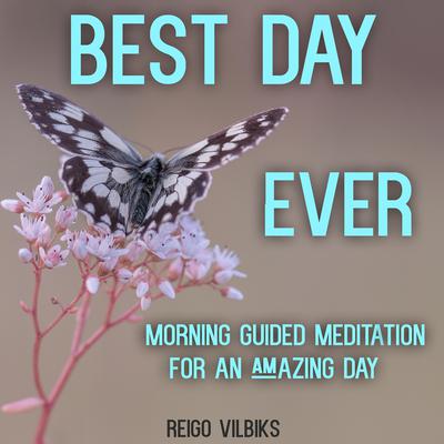Best Day Ever by Reigo Vilbiks audiobook