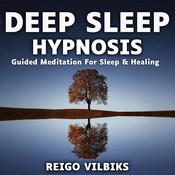 Deep Sleep Hypnosis by  Reigo Vilbiks audiobook