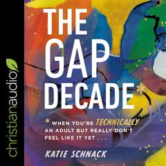 The Gap Decade by Katie Schnack audiobook