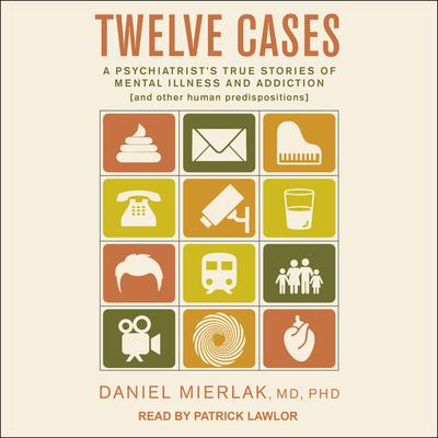 Twelve Cases by Daniel Mierlak audiobook