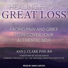Healing From Great Loss by Ann J. Clark audiobook