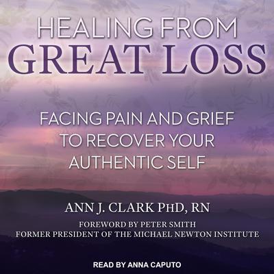 Healing From Great Loss by Ann J. Clark audiobook
