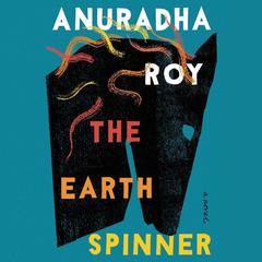 The Earthspinner by Anuradha Roy audiobook