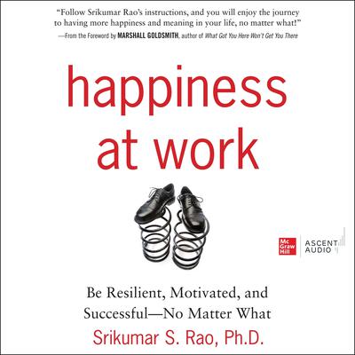 Happiness at Work by Srikumar S. Rao, PhD audiobook