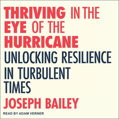 Thriving in the Eye of the Hurricane by Joseph Bailey audiobook