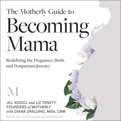 The Motherly Guide to Becoming Mama by Jill Koziol audiobook