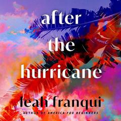 After the Hurricane by Leah Franqui audiobook