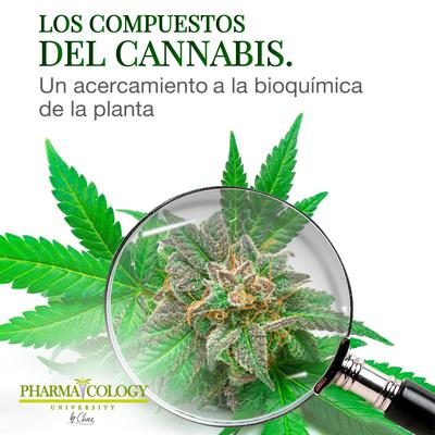 Los compuestos del cannabis by Pharmacology University audiobook