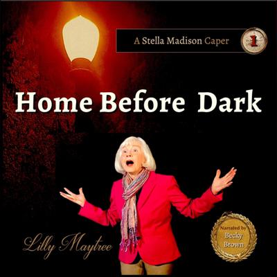 Home Before Dark by Lilly Maytree audiobook