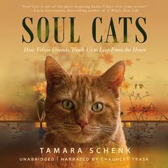 Soul Cats by Tamara Schenk audiobook