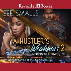 A Hustler's Weakness 2 by Zee Smalls audiobook