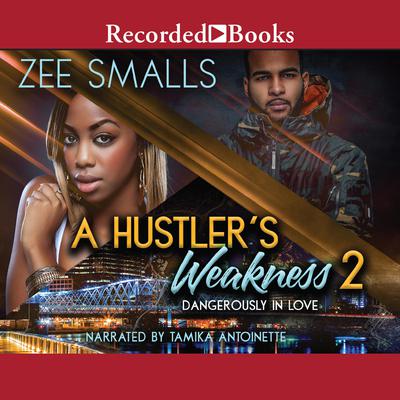 A Hustler's Weakness 2 by Zee Smalls audiobook