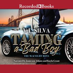 Taming a Bad Boy by V. L. Silva audiobook