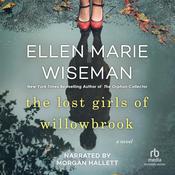The Lost Girls of Willowbrook by  Ellen Marie Wiseman audiobook