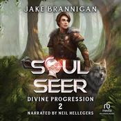 Soulseer by  Jake Brannigan audiobook