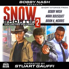 Snow Shorts, Vol. 2 by Bobby Nash audiobook