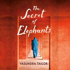 The Secret of Elephants by Vasundra Tailor audiobook
