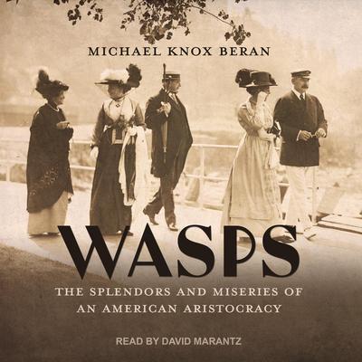 WASPS by Michael Knox Beran audiobook