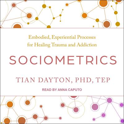 Sociometrics by Tian Dayton audiobook