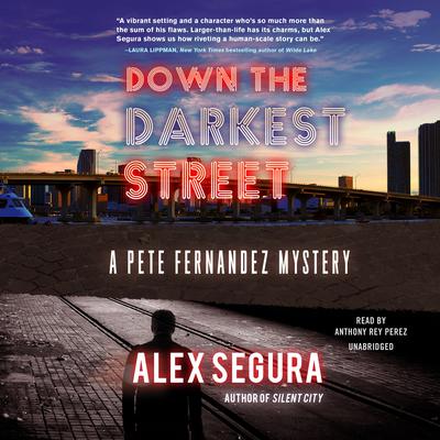 Down the Darkest Street by Alex Segura audiobook