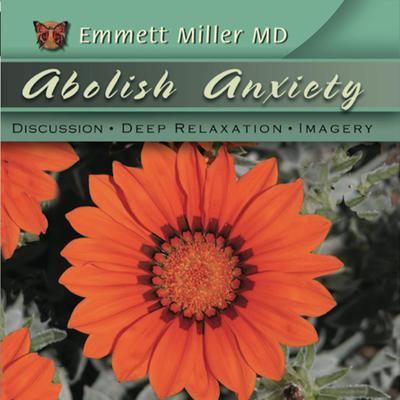 Abolish Anxiety by Emmett Miller audiobook